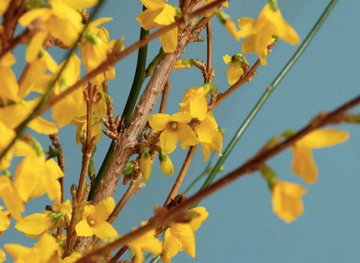 Mylands Paint, BLUES - EATON SQUARE NO.232